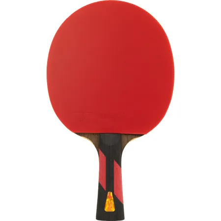Ракетка для н/т DOUBLE FISH 7A+C, для професс.,ITTF Appr.,накл.2,1мм,+ 2 мяча V40+мм ITTF Appr за 3&nbsp;559.80 ₽ купить в о Набережных Челнах
