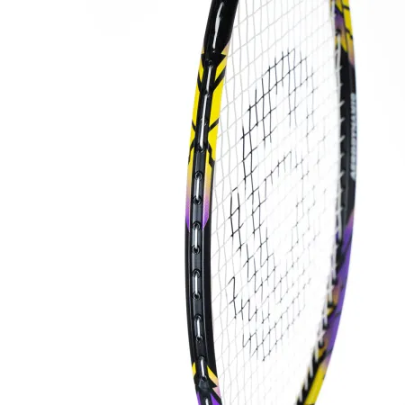 Ракетка бадм. TORRES Carbon PRO6, BD20521,для продв., стерж/обод из карбона,со струнами, фиол за 4&nbsp;477.80 ₽ купить в о Набережных Челнах