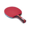 Ракетка для н/т DOUBLE FISH, CK-205, для любителей, ITTF,наклад. 2.0 мм, конич. ручка + сумка-чехол за 1&nbsp;490.90 ₽ купить в о Набережных Челнах