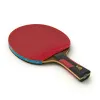Ракетка для н/т DOUBLE FISH 7A+C, для професс.,ITTF Appr.,накл.2,1мм,+ 2 мяча V40+мм ITTF Appr за 3&nbsp;559.80 ₽ купить в о Набережных Челнах