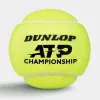 Мяч теннисный Dunlop ATP Championship 4B, 601627, уп.4ш, одобр. ITF, нат.резина,фетр. за 1&nbsp;242.70 ₽ купить в о Набережных Челнах