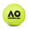 Мяч теннисный Dunlop Australian Open, 601601, уп..3 шт, одобр.ITF,фетр,нат.резина, желтый за 1&nbsp;171.30 ₽ купить в о Набережных Челнах
