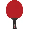 Ракетка для н/т DOUBLE FISH Black Carbon King Racket 5*****, для професс.,ITTF Appr.,накл.2,1,мм за 6&nbsp;434.50 ₽ купить в о Набережных Челнах