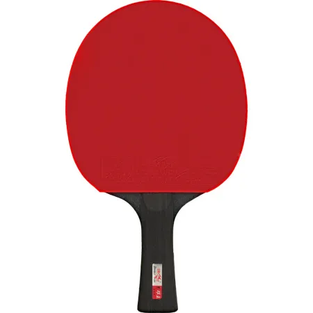 Ракетка для н/т DOUBLE FISH Black Carbon King Racket 5*****, для професс.,ITTF Appr.,накл.2,1,мм за 6&nbsp;434.50 ₽ купить в о Набережных Челнах