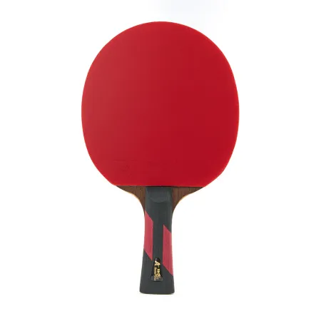 Ракетка для н/т DOUBLE FISH 7A+C, для професс.,ITTF Appr.,накл.2,1мм,+ 2 мяча V40+мм ITTF Appr за 3&nbsp;559.80 ₽ купить в о Набережных Челнах