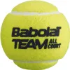 Мяч теннисный BABOLAT Team All Court,502081, уп.4 шт,одобр.ITF, сукно, нат.резина,желтый за 2&nbsp;385.10 ₽ купить в о Набережных Челнах