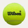 Мяч для падела Wilson Premier Padel Speed, WR8908501001, уп.3 шт, FIP Appr.,сукно, нат.резина,желтый за 1&nbsp;235.90 ₽ купить в о Набережных Челнах