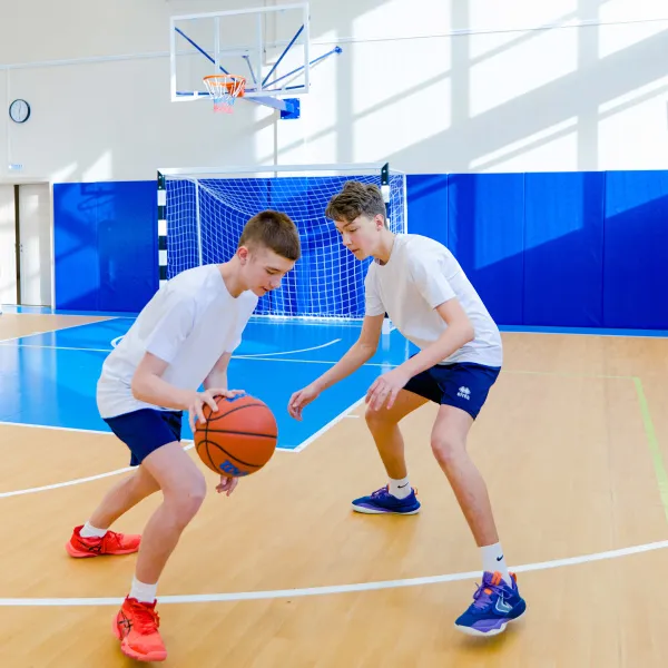 Щит баскетбольный игровой (монолитный поликарбонат) 1050х1800 мм ZAVODSPORTA за 47&nbsp;600 ₽ в о Набережных Челнах
