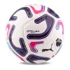 Мяч футб. PUMA Stellar Goal PL Reactivity, 08519301, р.5, 16п, ТПУ, маш. сш, бело-фиолетово-розовый за 6&nbsp;291.70 ₽ купить в о Набережных Челнах
